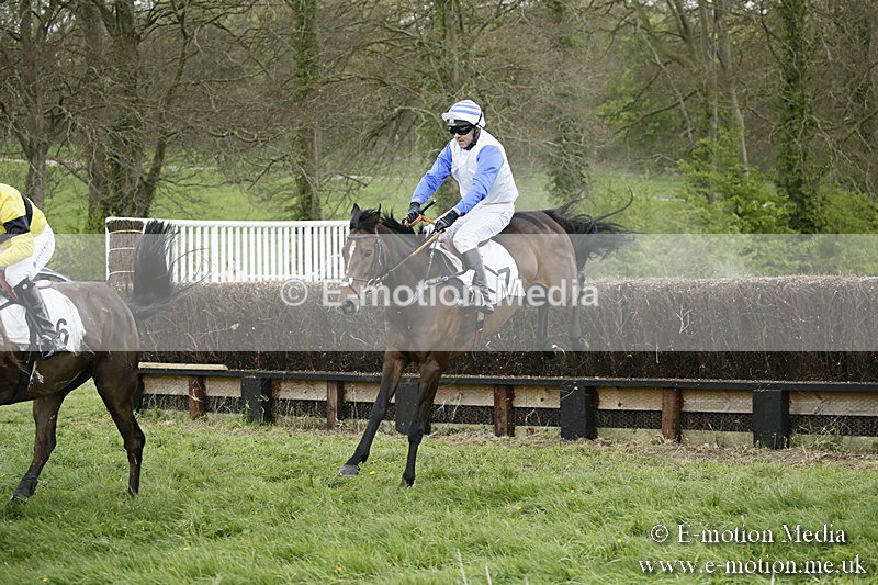 PtP 170417 518 - Old Berks Point-to-Point Lockinge 17/04/17
