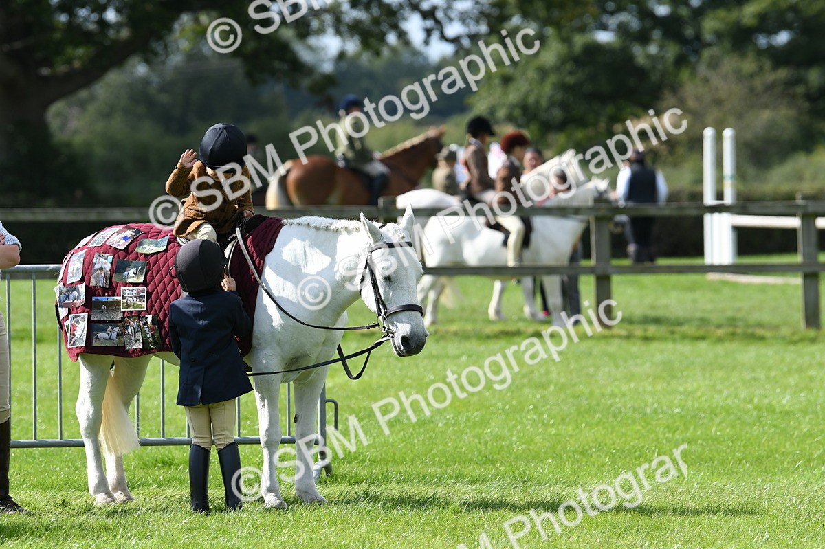 SBM_47046 - S12 - Family Horse & Pony