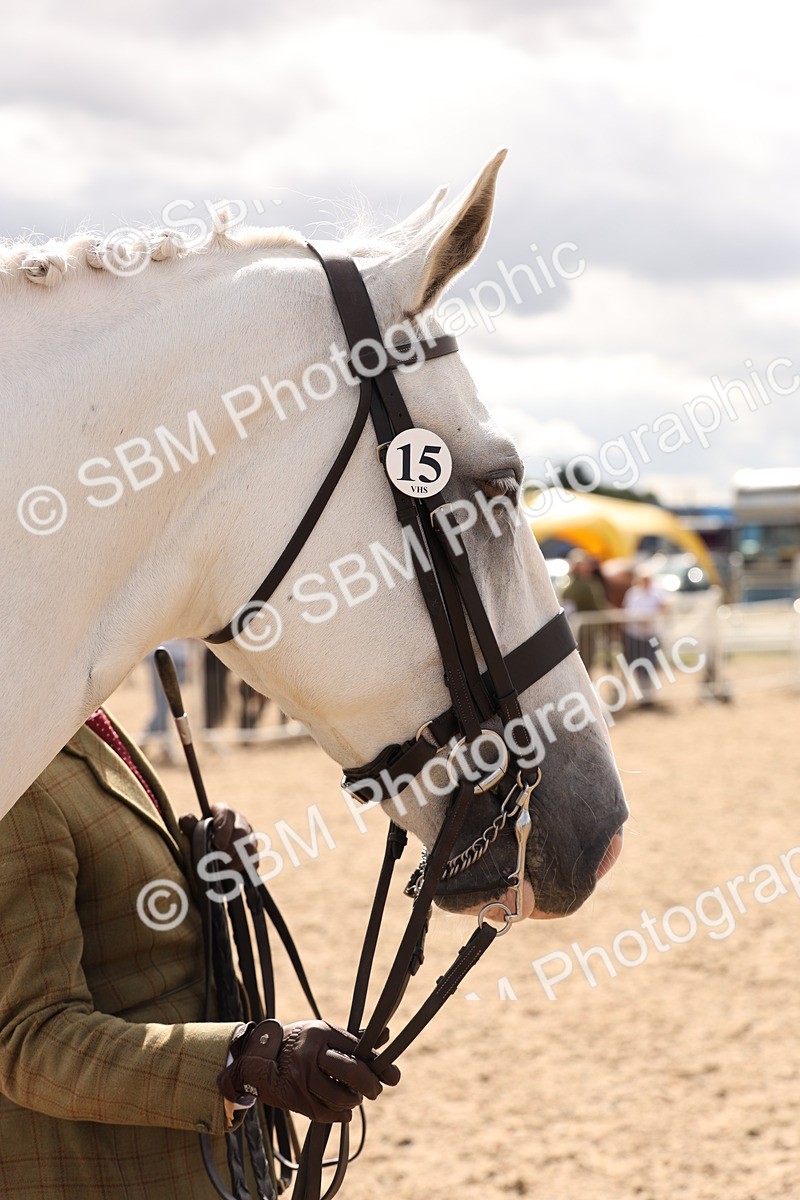 SBM_14711 - Class 208 - IH Veteran Horse