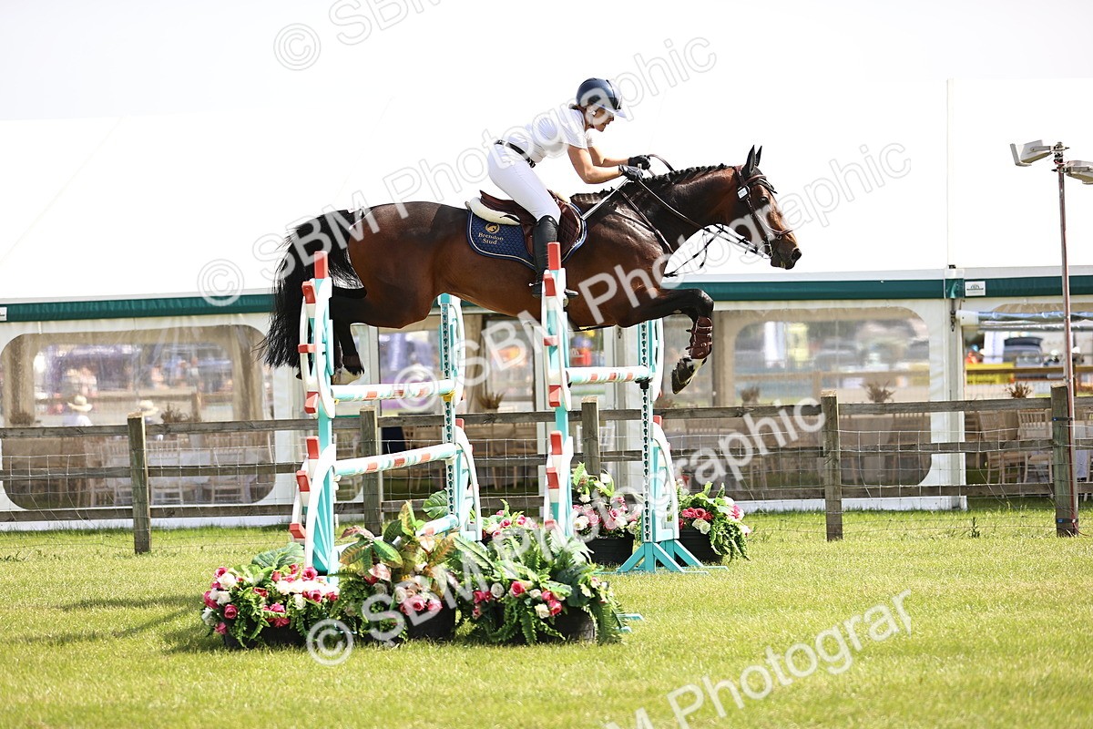 SBM_03033 - Class 201 - British Horse Feedds Speedi Beet HOYS Grade C