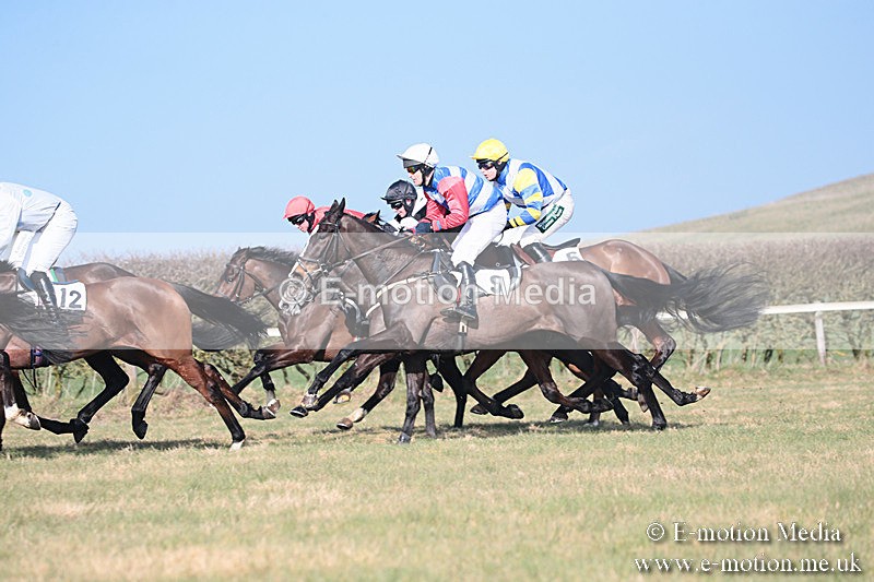 PtP 230219 239 - Vine & Craven Point-To-Point - Barbury 23/02/19