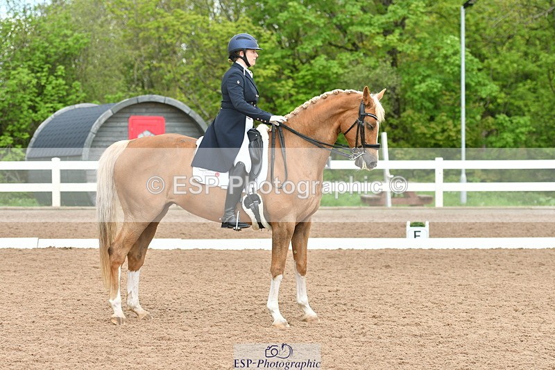 230511A-160052-01272 - BD Cls 18 FEI PSG