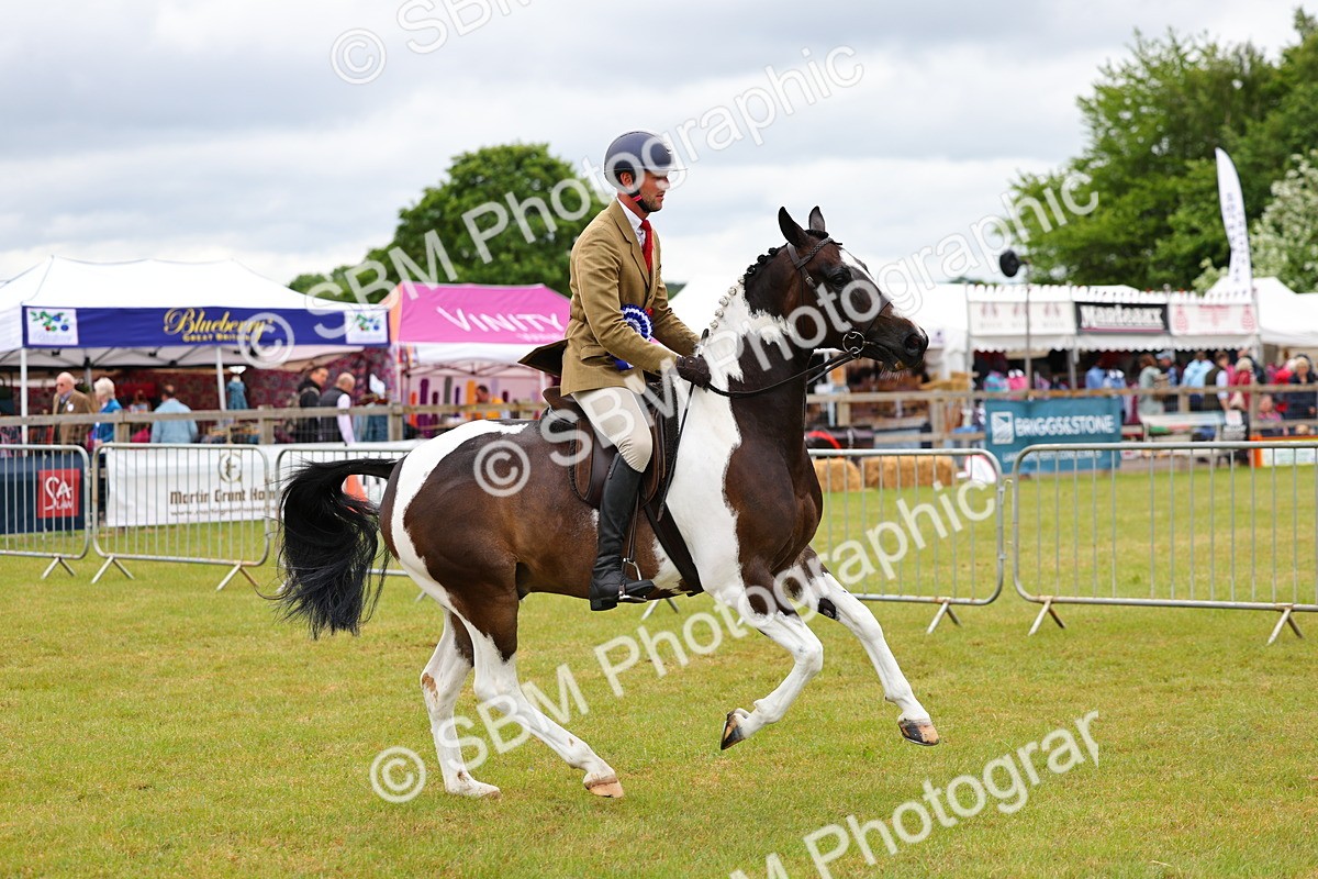 SBM_02676 - Class 9-11 Side Saddle including LIHS Rising Star Ladies Show Horse