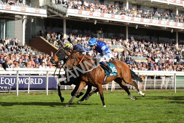 yr19082022r7-30 - Race 7 5.20pm Sky Bet Mile Stakes