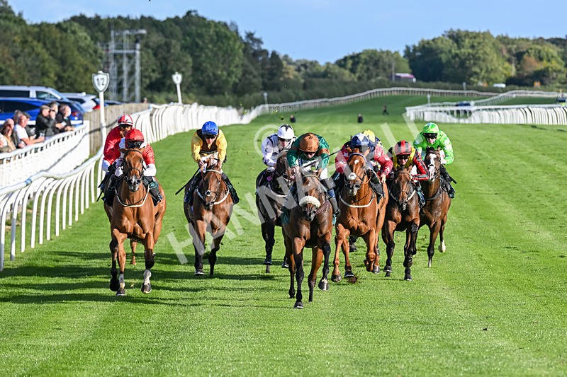 080926-Race 7-Military Girl-3304 - Race 7 5.21pm RMG Proudly Supports Teenage Cancer Trust Handicap