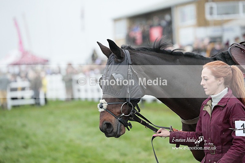 PtP 271122 864 - Hursley Hambledon Hunt Point-to-Point - Larkhill - 27/11/22