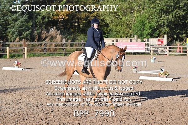 BPP_7990 - LONG ARENA PRELIM 4