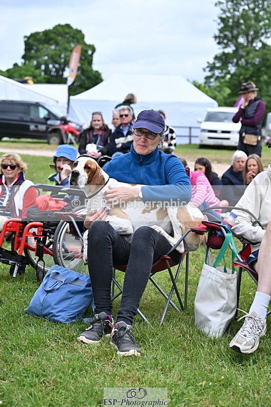 250525A-104535-15769 - Western Counties Crowds