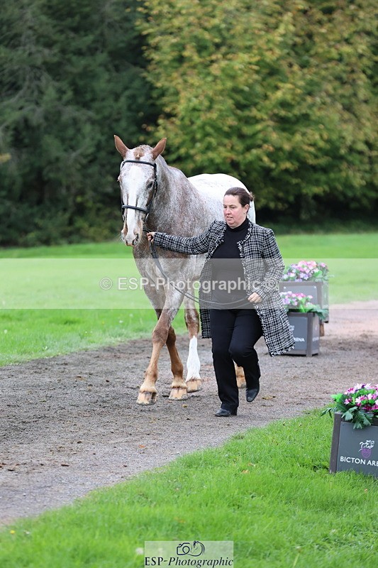 251026A-113258-25515 - F-426-Tracey.Neville