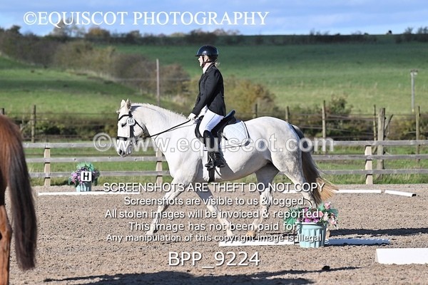 BPP_9224 - SHORT ARENA