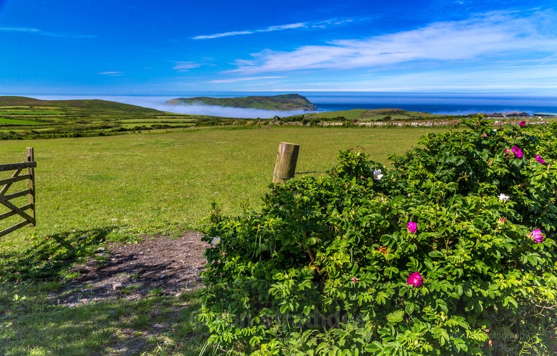 Calf of Man from Cregneash - Land of Man