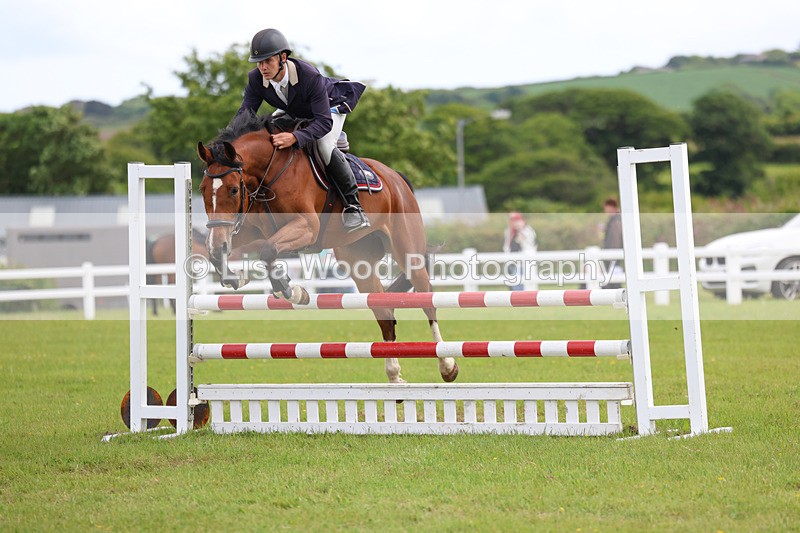 3E7A7687 - Class 13: Senior British Novice/90cm open