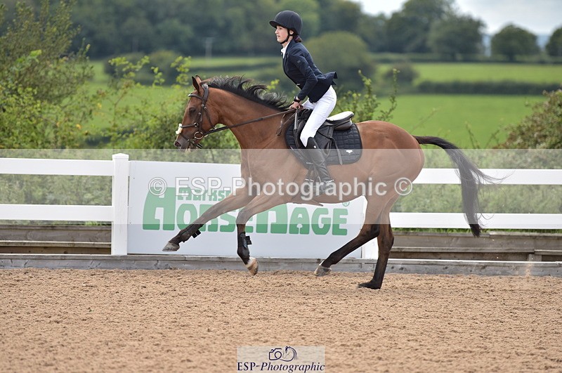 230801B-162054-00360 - 70cm