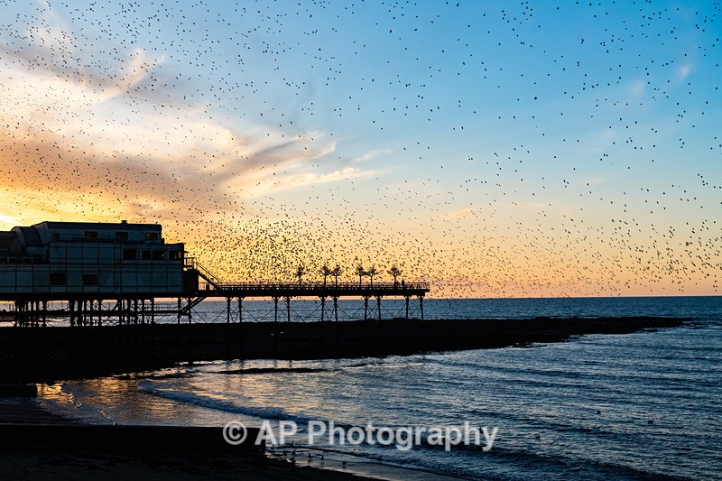 ANT_2076-1 - Aberystwyth_02