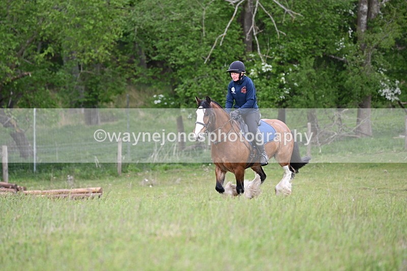 WJ6_1365 - Group 3 A&B Cameras