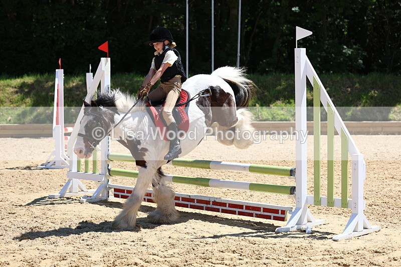 3E7A2614 - Class 4/5: 60cm Open Teams and Individuals