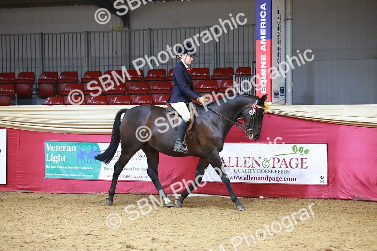 SBM_10498 - Class 103 - HOYS Veteran Qualifier - Ridden Pre Vet
