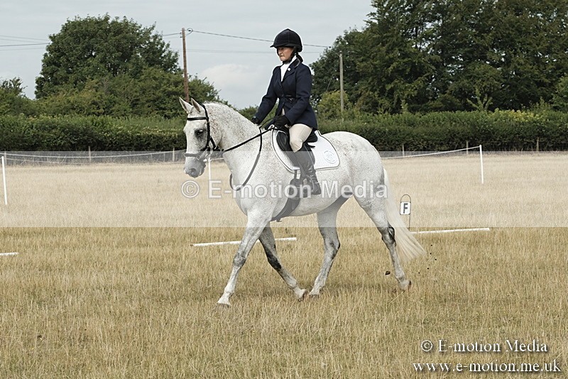 _PJP5647 - Dressage Classes BVRC Show 2018