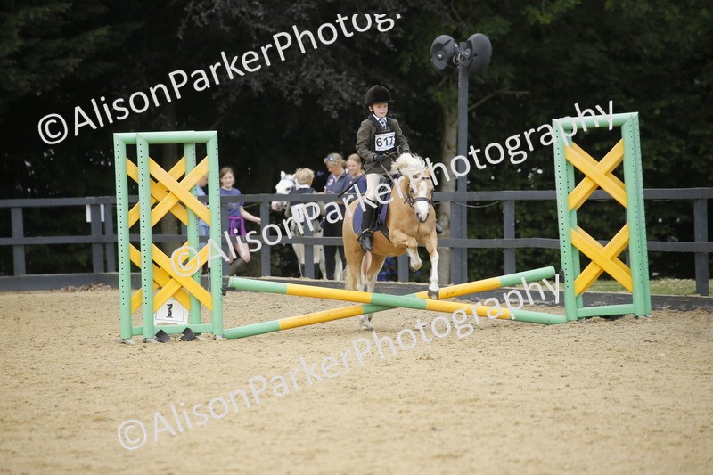 20250622-3796 - 50cm