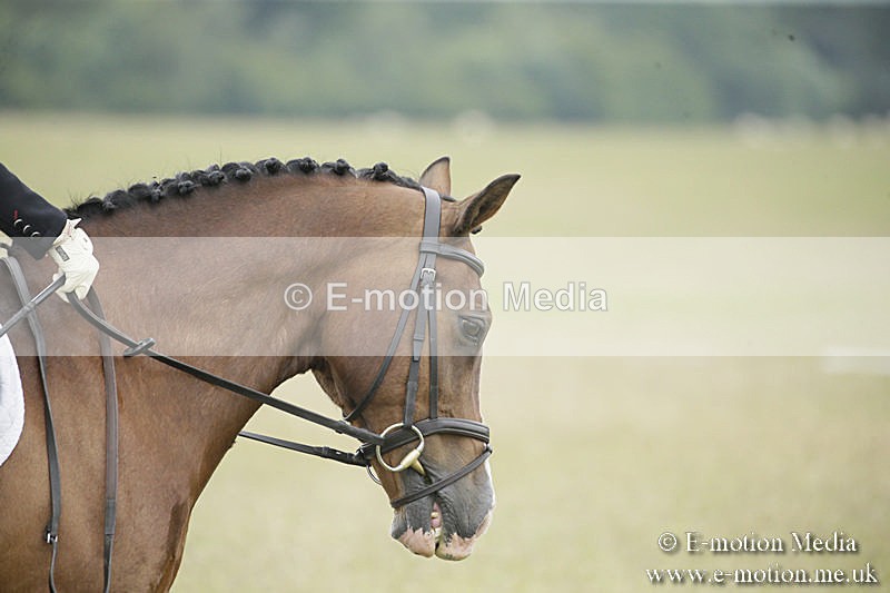 B230619-0660 - Bourne Valley Riding Club Summer Show 23/06/19