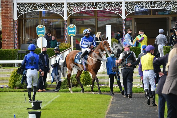 yr13052021r5-31 - Race 5 3.40pm British Stallion Studs EBF Westow Stakes