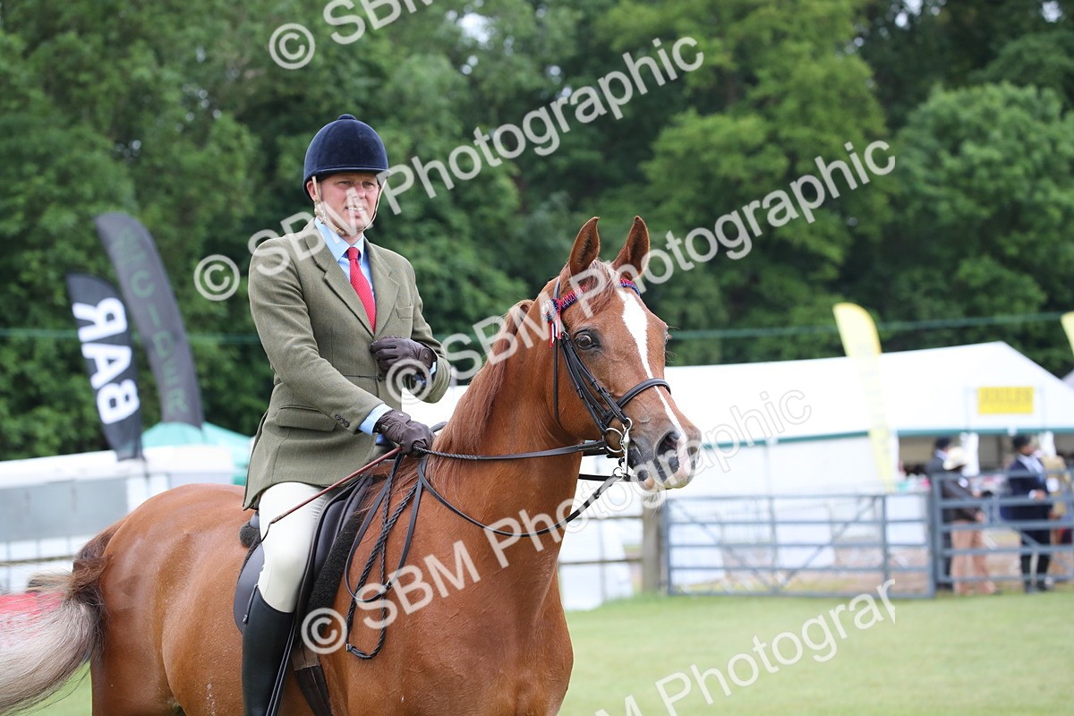 SBM_03645 - Class 21 - 22 - Ridden Arab and Part Bred/Anglo Arab