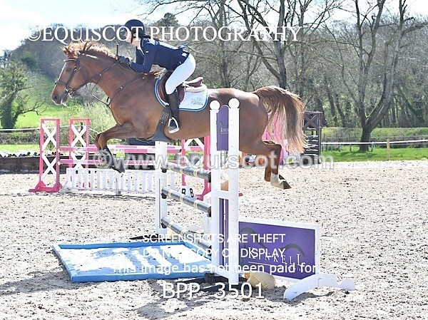 BPP_3501 - CLASS 6 Senior Newcomers/ 1.10m Open