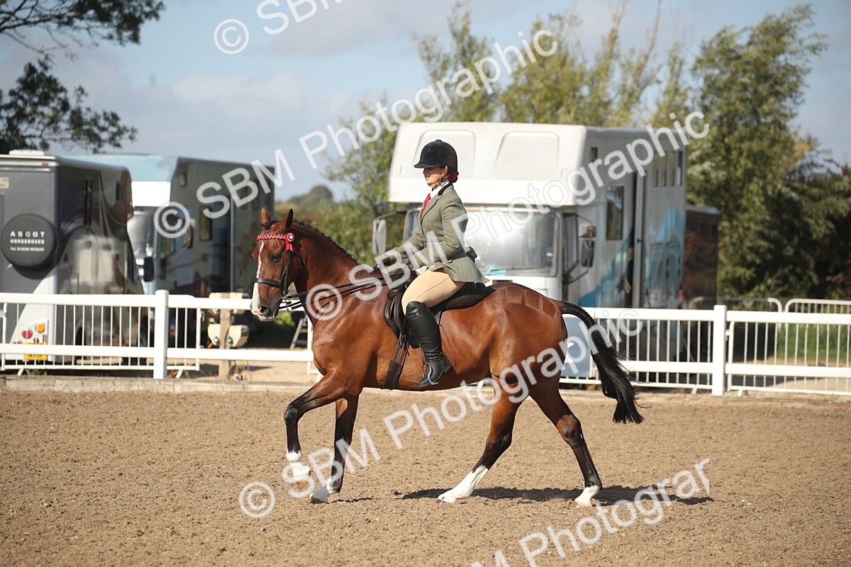 SBM_22723 - Class 601 - 2026 - Area - Ridden Diamond