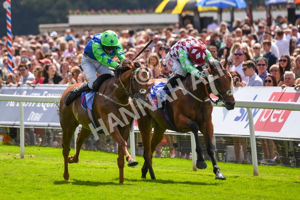 290723-Race 1-Soul Seeker-0279 - Race 1 2.05pm Sky Bet 'Jump Jockeys' Nunthorpe' Handicap