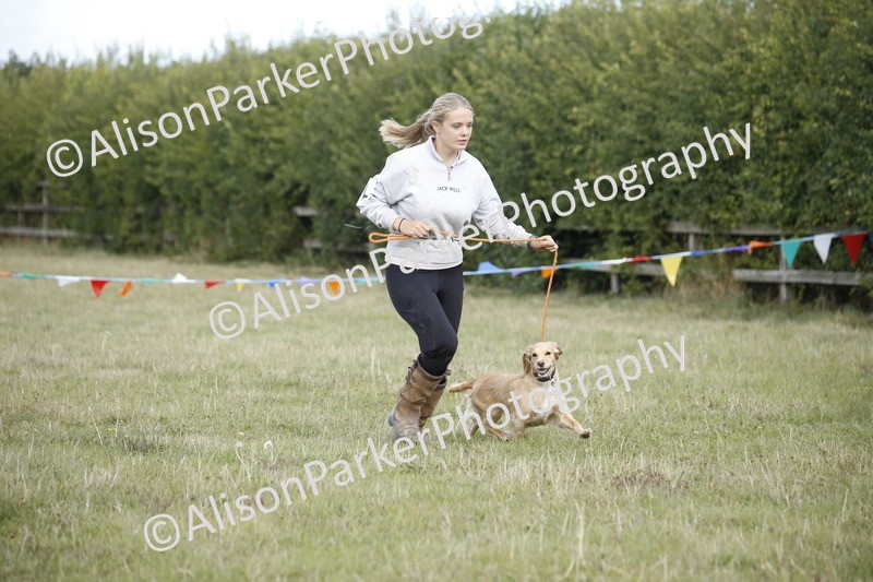 20250831-3863 - Dog Show