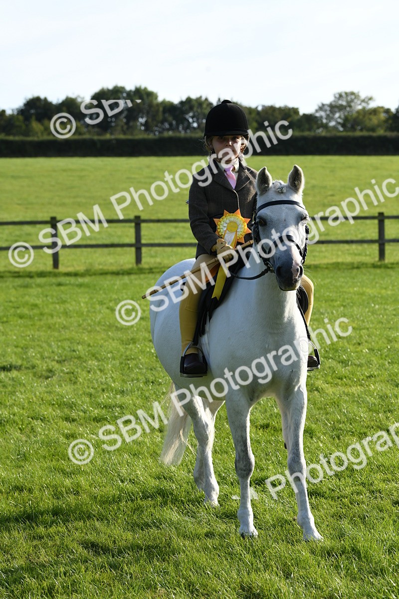 SBM_52447 - S22 - 1st Ridden Show & Show Hunter Pony