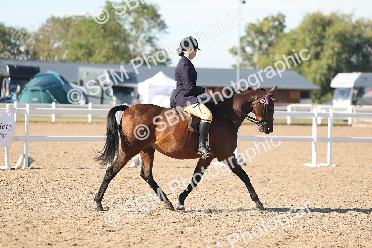 SBM_12336 - Class 304 - Ridden part Bred Horse Pony