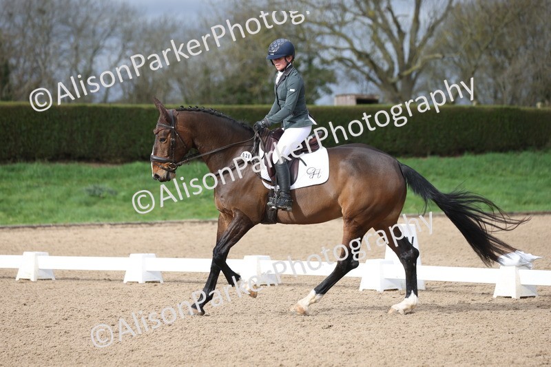 20260301-0223 - Class 3 - Novice 4