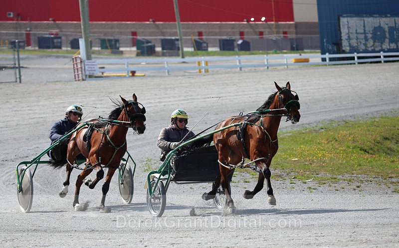 Exhibition Park Raceway Saint John New Brunswick Canada - Sport & Recreation