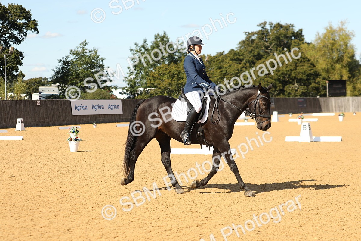 SBM_24479 - D17 - Grand Tour Championship - Novice 27