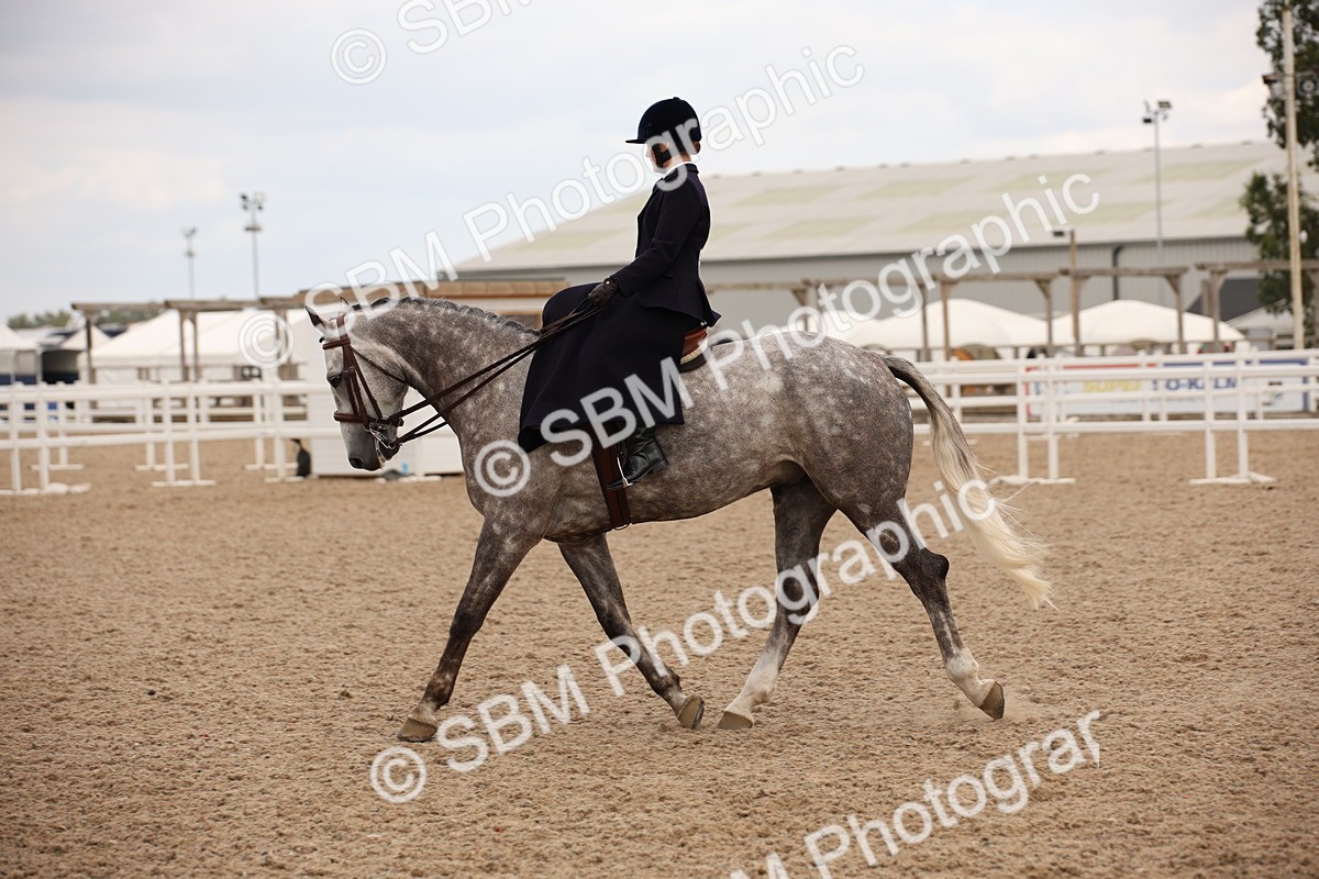 SBM_05489 - Class 22 SSA Equitation