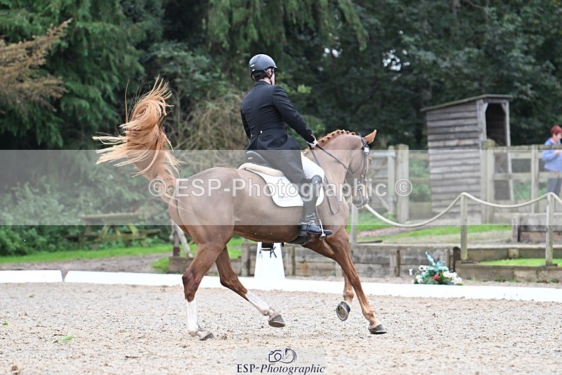 231019-145908-04329 - 059-MINNIE.MANOEUVREZ-Mark.Ford-DR