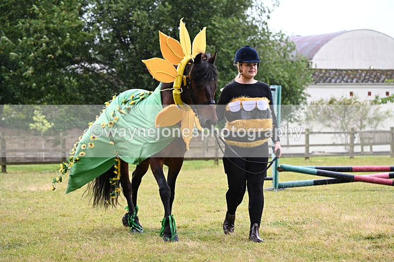 WJ6_9172 - Class 11 Fancy Dress