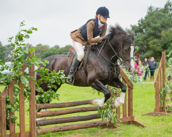 Dunblane show-394 - Dunblane and Doune Show Ring 1