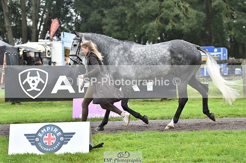 231018-124852-00543 - 068-DASSETT.PREMIER-Kate.Rocher-Smith-TrotUp