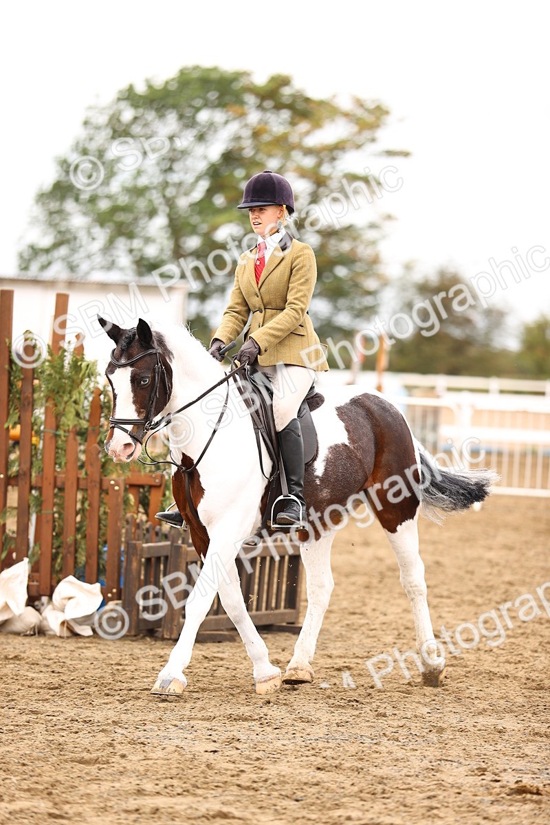 SBM_01362 - Class 54 - Riding Club Horse Pony