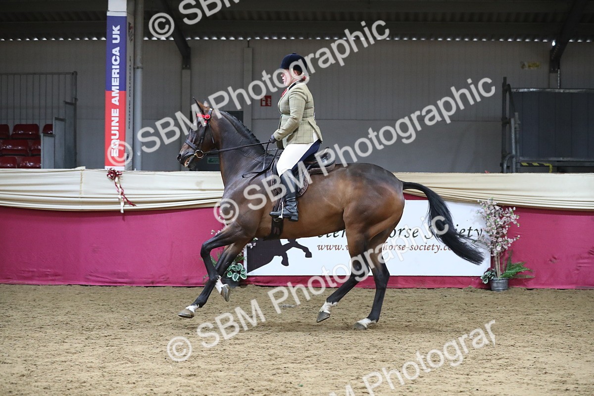 SBM_12349 - Class 108 Ridden Retired Racehorse- Pre Judging