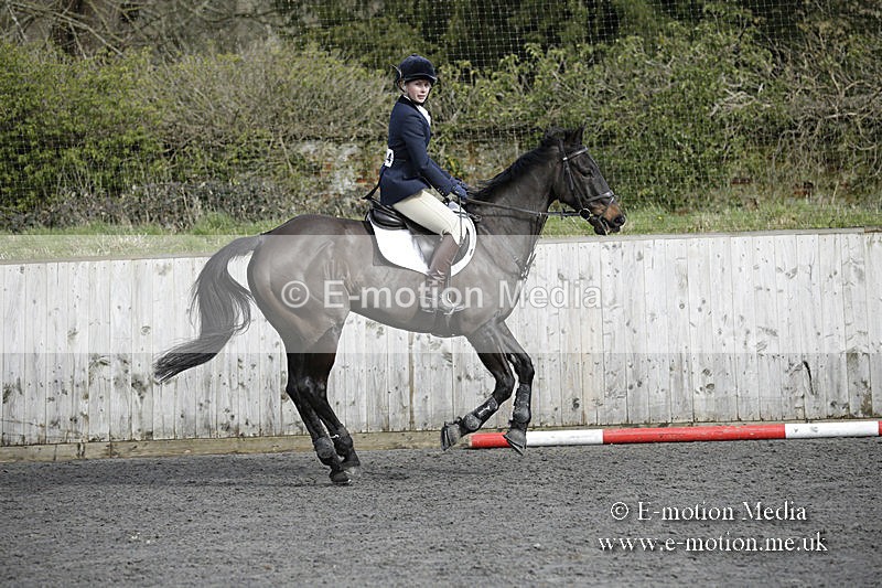 BVRC 050320 0633 - Bourne Valley riding Club Show Jumping Tidworth 08/03/20