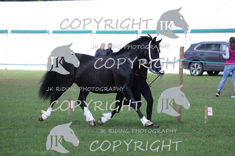 APP_2795 - Class 10a/b M&M in hand