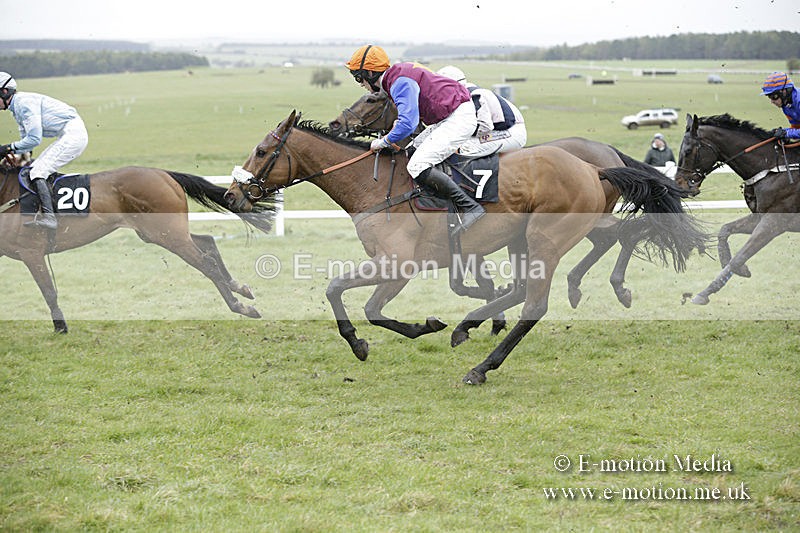PtP 150320 0213 - New Forest Point-to-Point Larkhill 15/03/20