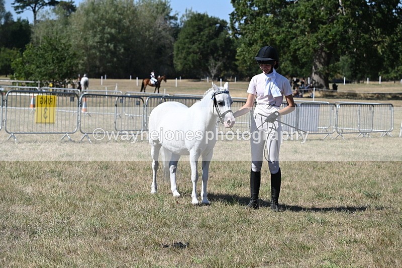 WJ6_9332 - Class 40 Cheekiest Pony/Horse