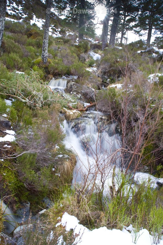  - Inverness visit Feb 2015