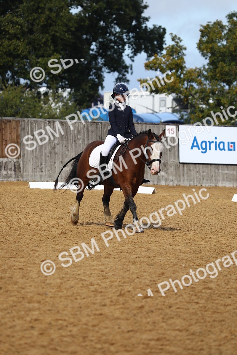 SBM_39026 - D21 - Junior Championship Intro 1