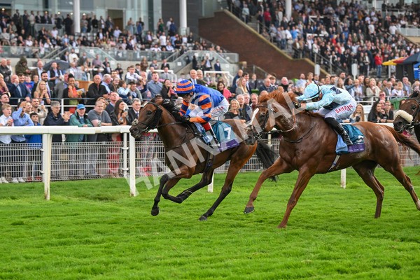 080924-Race 4-Zain Blue-9245 - Race 4 3.25pm PJ Staffing Group Handicap