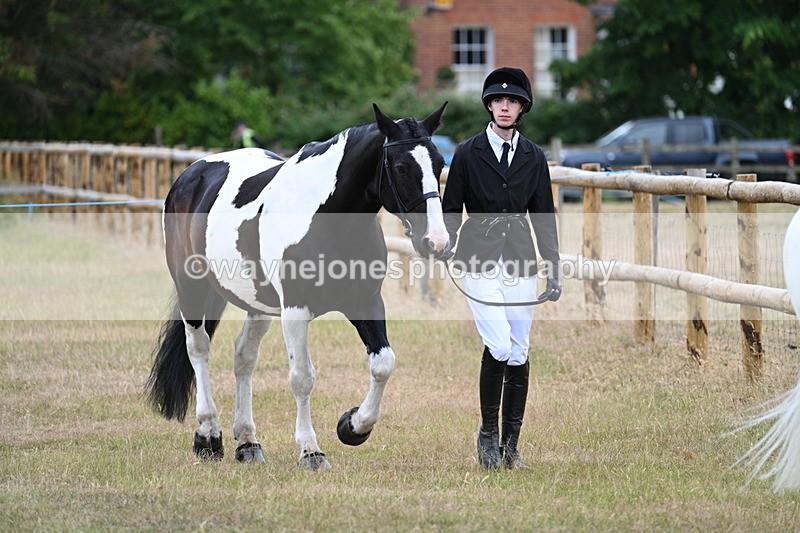 WJ7_9054 - Class 4a Prettiest Mare 14.2hh and over